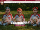 Оф. сайт организации dobryniafootball.ru