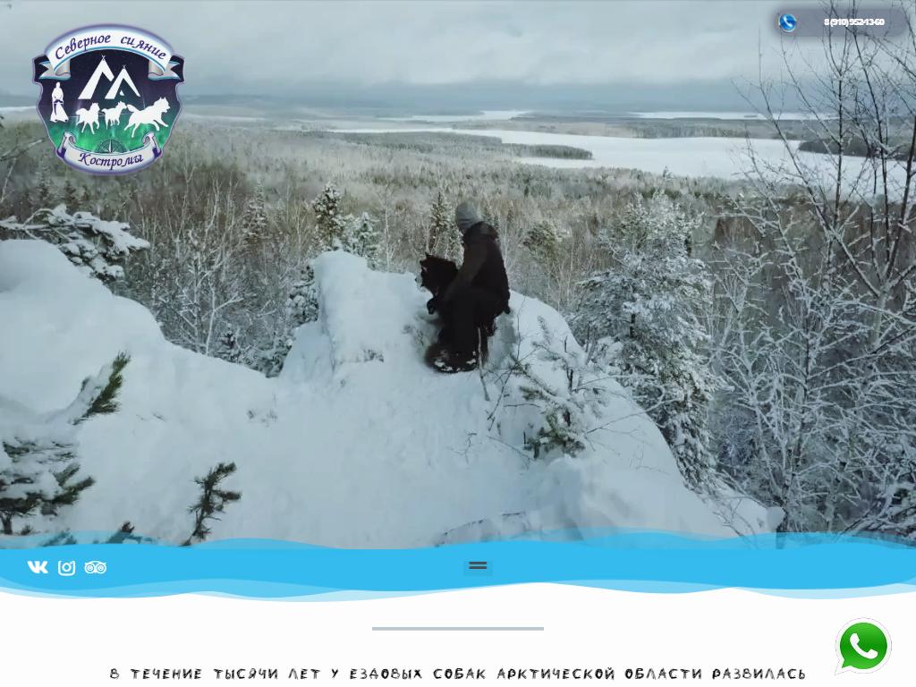 Северное сияние Костромы, питомник ездовых собак на сайте Справка-Регион