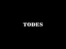 Оф. сайт организации todes.ru
