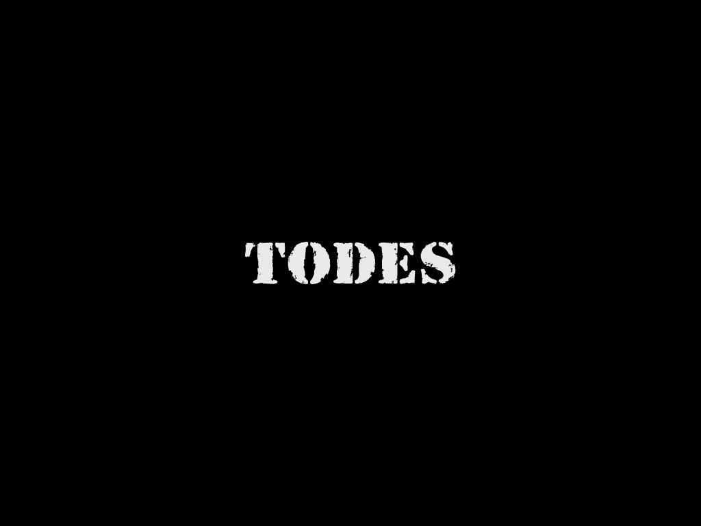 Todes, танцевальная школа-студия на сайте Справка-Регион