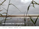 Оф. сайт организации www.pulsara.ru