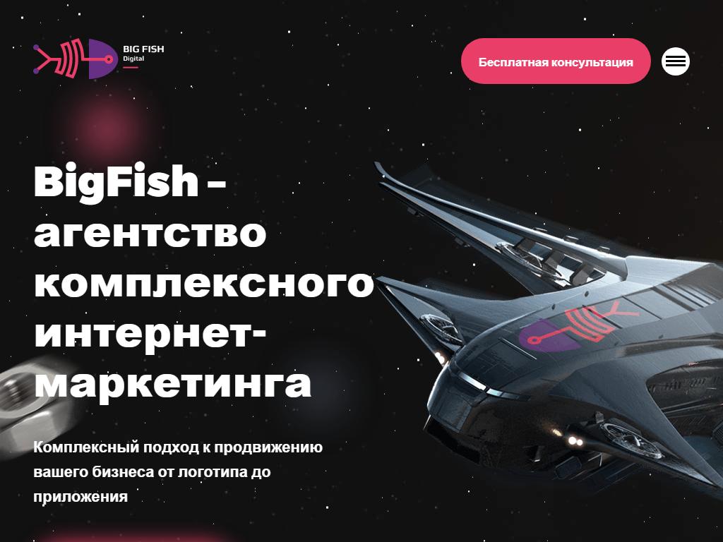 BigFish Digital, веб-студия на сайте Справка-Регион