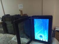 ООО АЛЛДИСПЛЕЙ