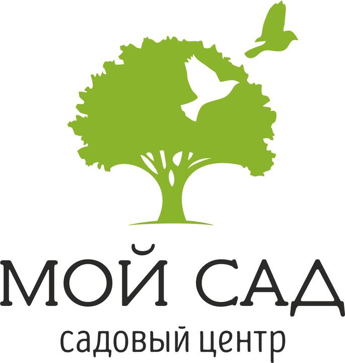Томат Буденовка розовая от садового центра «Мой сад» 
