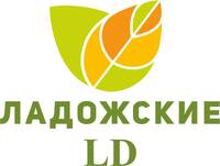 Семена гибридов «Ладожские LD»