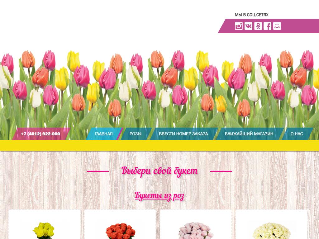 Цветы Голландии, сеть складов-магазинов на сайте Справка-Регион