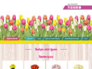 Официальная страница Цветы Голландии, сеть складов-магазинов на сайте Справка-Регион