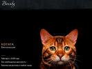 Официальная страница Benaby, питомник кошек редких пород на сайте Справка-Регион