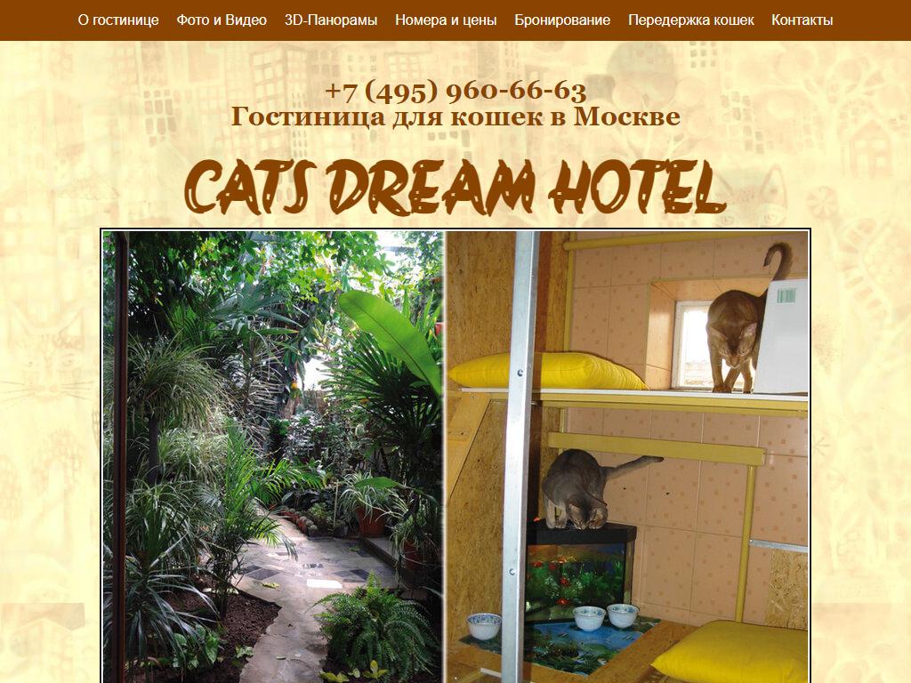 Cat`s Dream Hotel, гостиница для кошек на сайте Справка-Регион