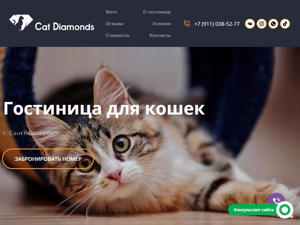 Cat diamonds, зоогостиница на сайте Справка-Регион