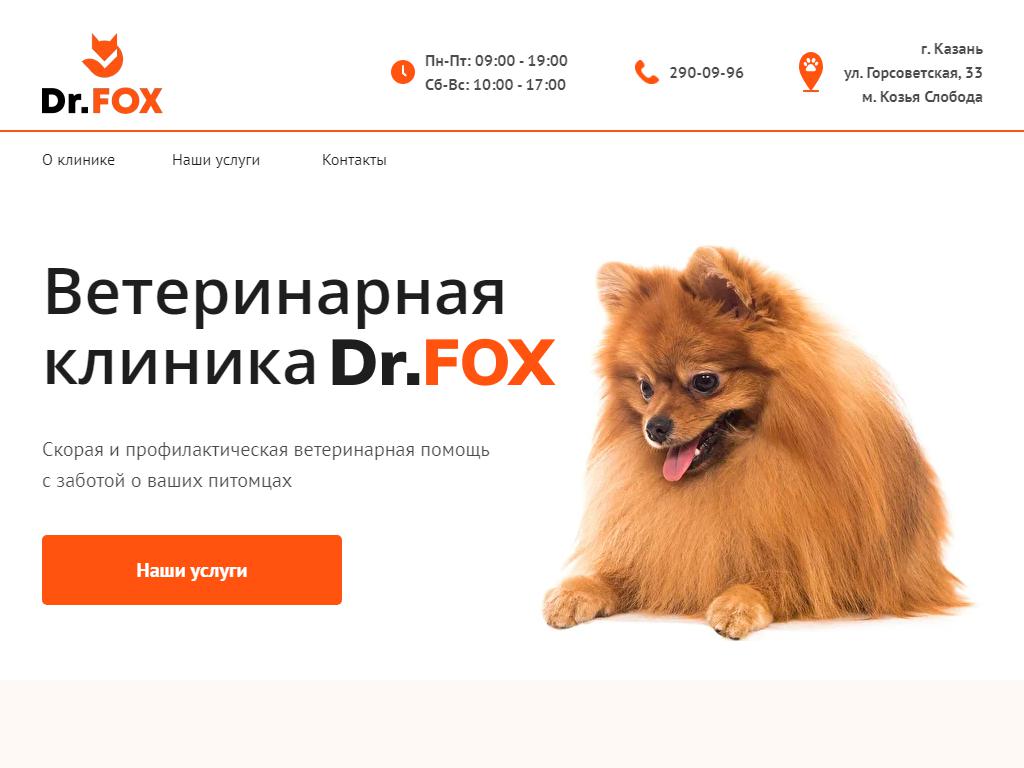 Dr.Fox, ветеринарная клиника в Казани, Горсоветская, 33 | адрес, телефон,  режим работы, отзывы