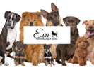 Официальная страница EvaDogHotel, гостиница для собак на сайте Справка-Регион