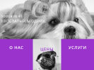 Оф. сайт организации hvost-modnik.ru