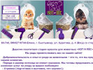 Оф. сайт организации kotopeskomi.ru