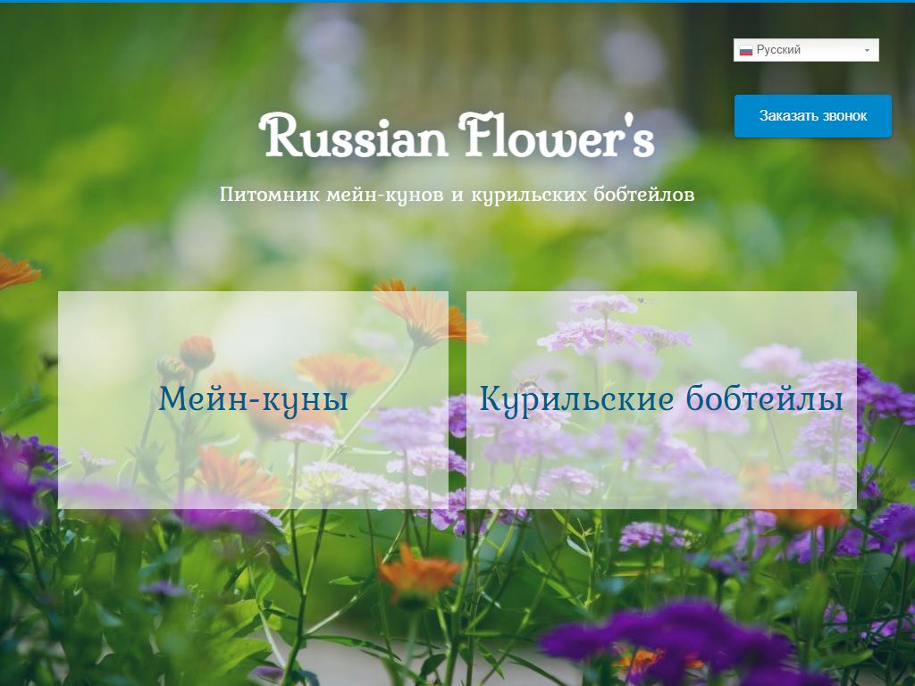 Russian Flower`s, питомник мейн-кунов на сайте Справка-Регион