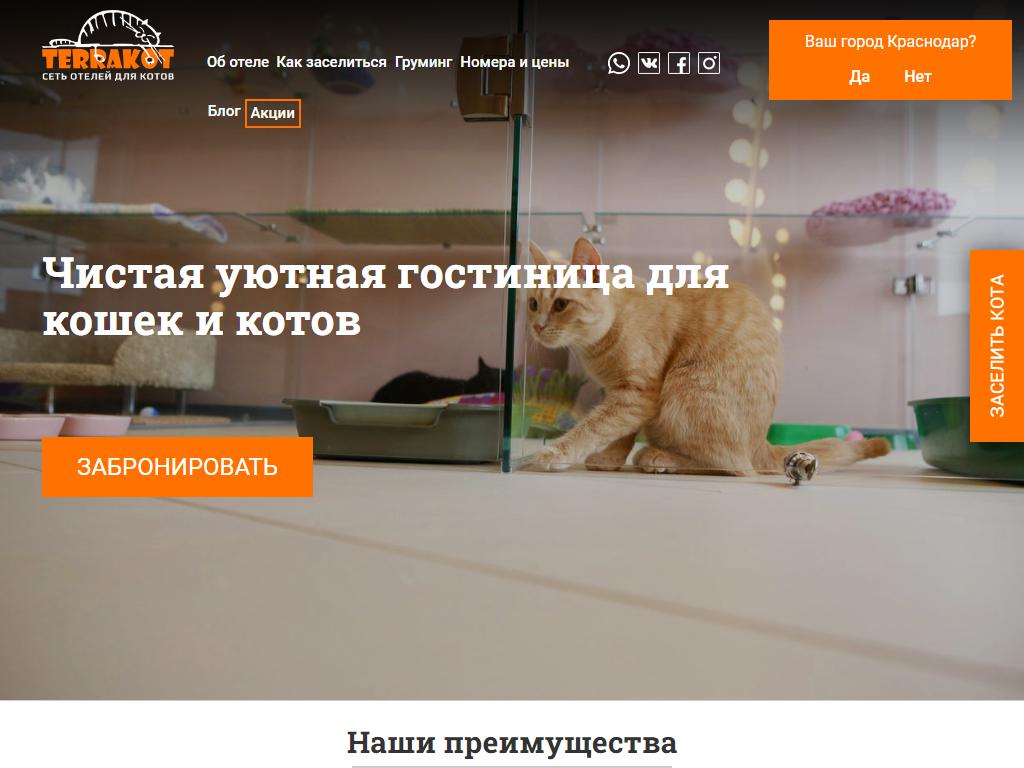 TerraKot, отель для котов на сайте Справка-Регион