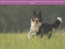 Официальная страница Валента, ветеринарная клиника на сайте Справка-Регион
