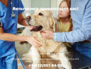 Оф. сайт организации veterinar-klinika-24.ru