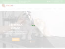 Официальная страница Будка, студия стрижки домашних животных на сайте Справка-Регион