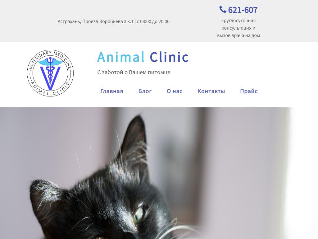 Animal Clinic, ветеринарный центр в Астрахани, проезд Воробьёва, 3 к1 |  адрес, телефон, режим работы, отзывы