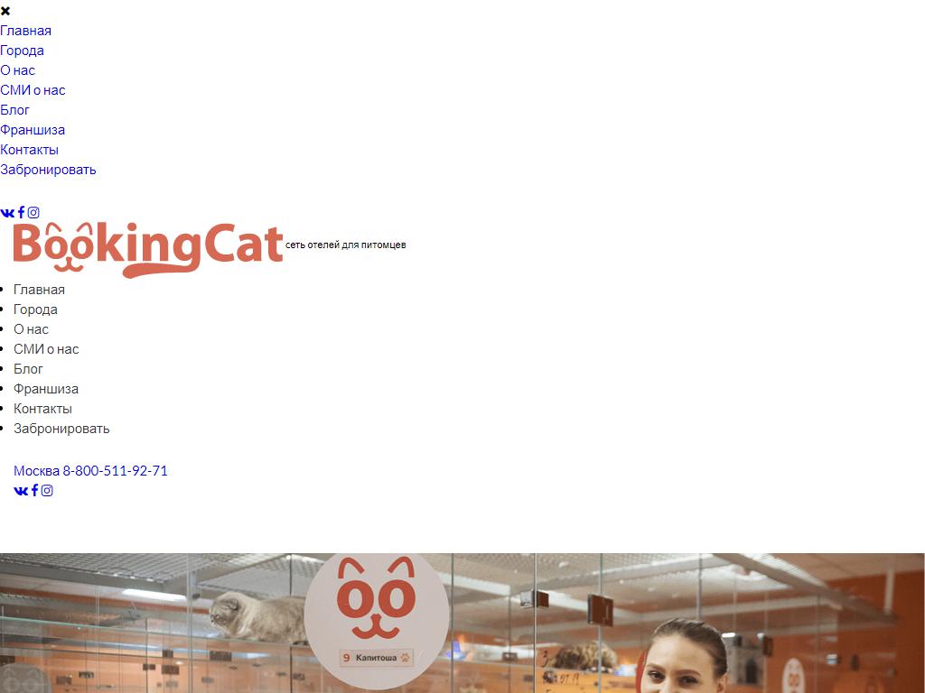 BookingCat, гостиница для животных на сайте Справка-Регион