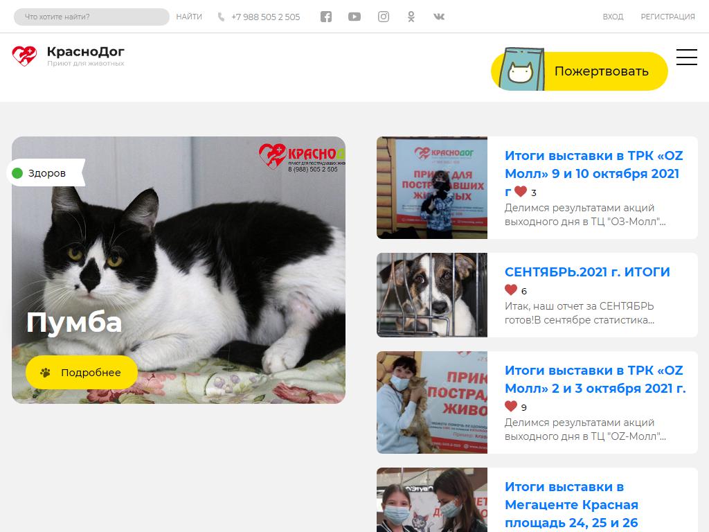 Краснодог, приют для пострадавших животных на сайте Справка-Регион