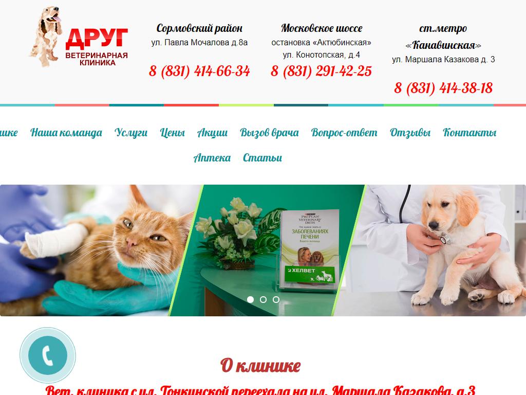 Ветеринарная клиника Нижний Новгород ветеринарная 4. Друг ветеринарная клиника адреса.