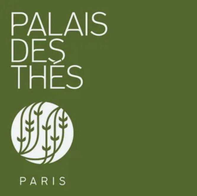 Palais Des Thes 