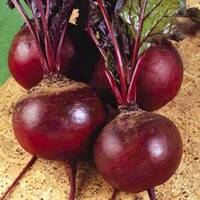 Алтайские овощи оптом для переработки на заводы