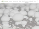Официальная страница Биобалт, торгово-производственная компания на сайте Справка-Регион