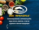 Оф. сайт организации oooprimorie.ru