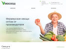 Оф. сайт организации voshod-msk.ru