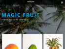 Оф. сайт организации www.magicfruit-krd.com