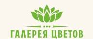 Галерея цветов 