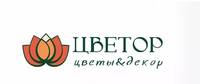 Цветор