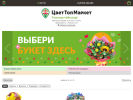Оф. сайт организации 344005.ru