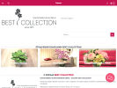 Официальная страница Best Collection, салон интерьерных композиций из растений и продажи новогодних товаров на сайте Справка-Регион