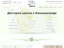 Оф. сайт организации kaliningrad.tribuketa.ru