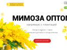 Оф. сайт организации mimoza-optom.biz