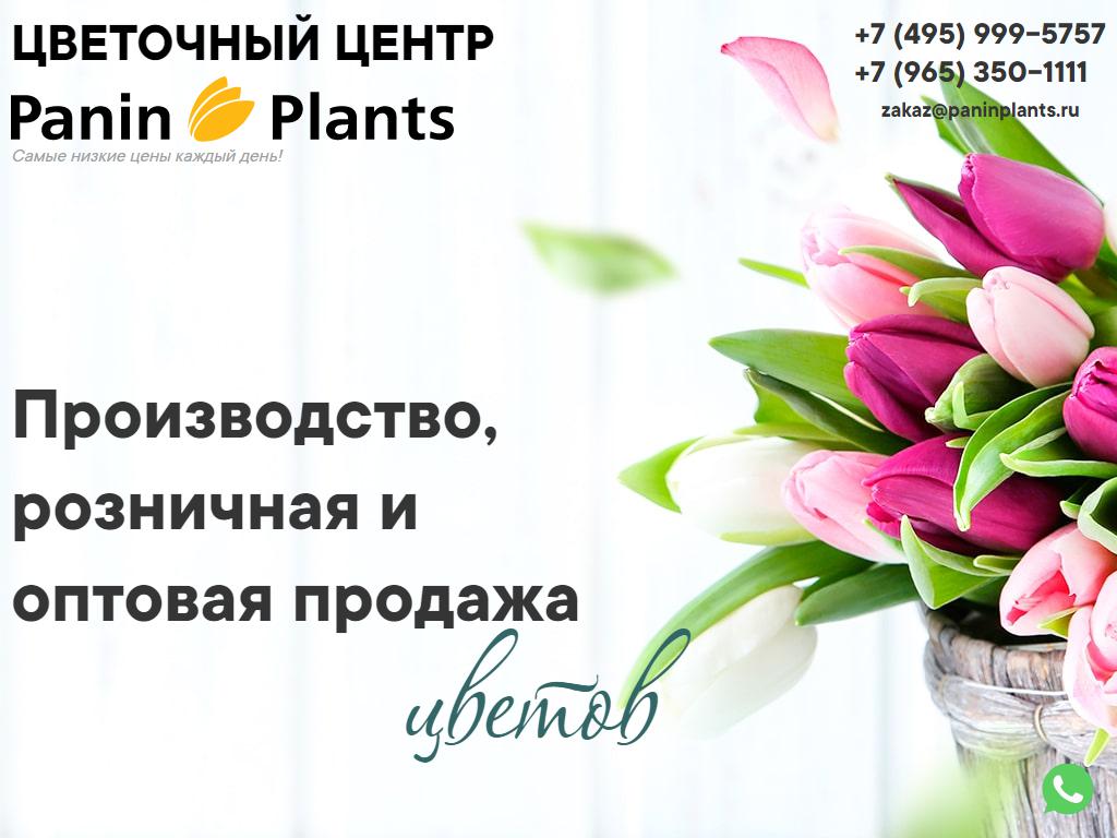Panin Plants. Панин плантс тюльпаны. Адрес Panin Plants. Panin Plants реклама. Панин плантс