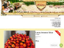 Официальная страница Илекс, служба доставки цветов на сайте Справка-Регион