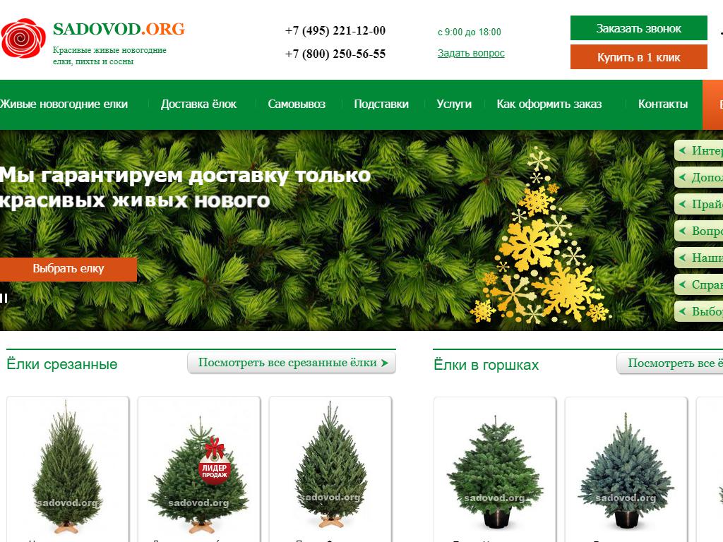 Садовод.орг, магазин живых новогодних елок и пихт на сайте Справка-Регион