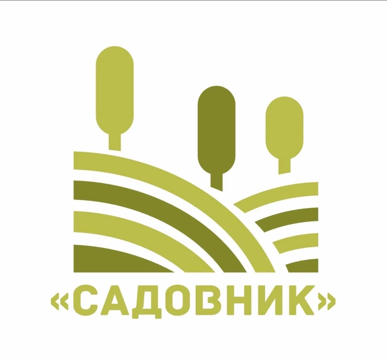 Ландшафтный дизайн под ключ 