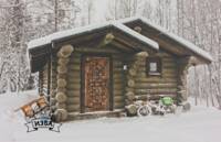 Фото Срубы домов и бань из бревна ручной рубки от компании Изба