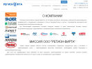 Оф. сайт организации www.region-virta.ru