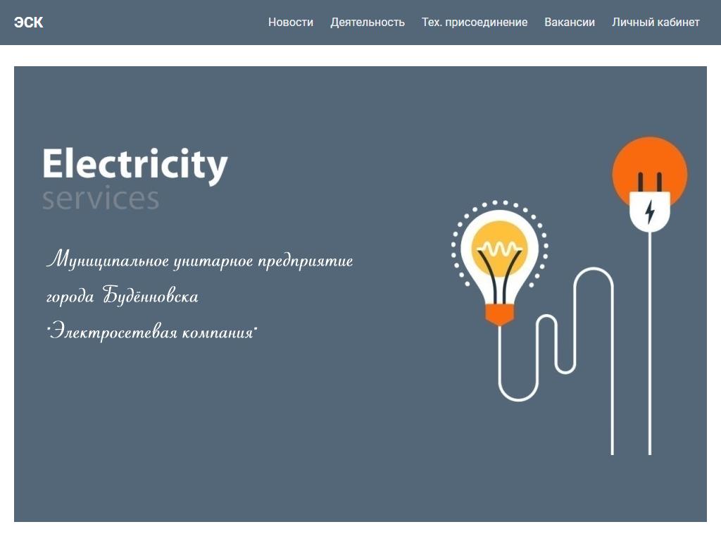 Электросетевая компания, МУП на сайте Справка-Регион