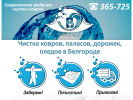Официальная страница Волна, фабрика стирки ковров на сайте Справка-Регион