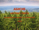 Оф. сайт организации abisib154.ru