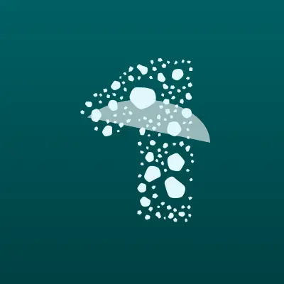 Визитка: 1010.ru, интернет-магазин в Москве