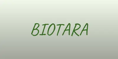 Иллюстрация: БИОТАРА, сеть аптек в Заиграево